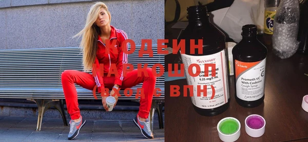 хмурый Алзамай