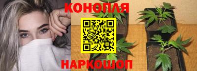 jwh Владикавказ