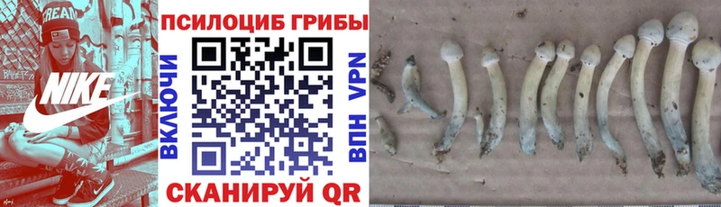 Псилоцибиновые грибы Magic Shrooms  Карасук 