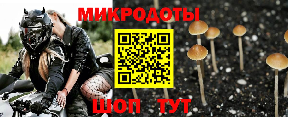 Псилоцибиновые грибы прущие грибы  Вход с VPN  Карасук 